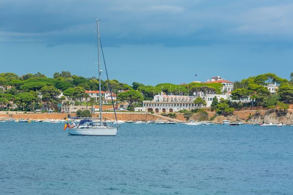 ¿Cuáles son los mejores alimentos para mantener una presión arterial saludable?